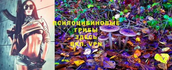 гашик Иннополис