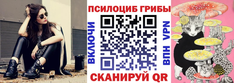 Псилоцибиновые грибы мухоморы OMG маркетплейс Кашира купить наркотик