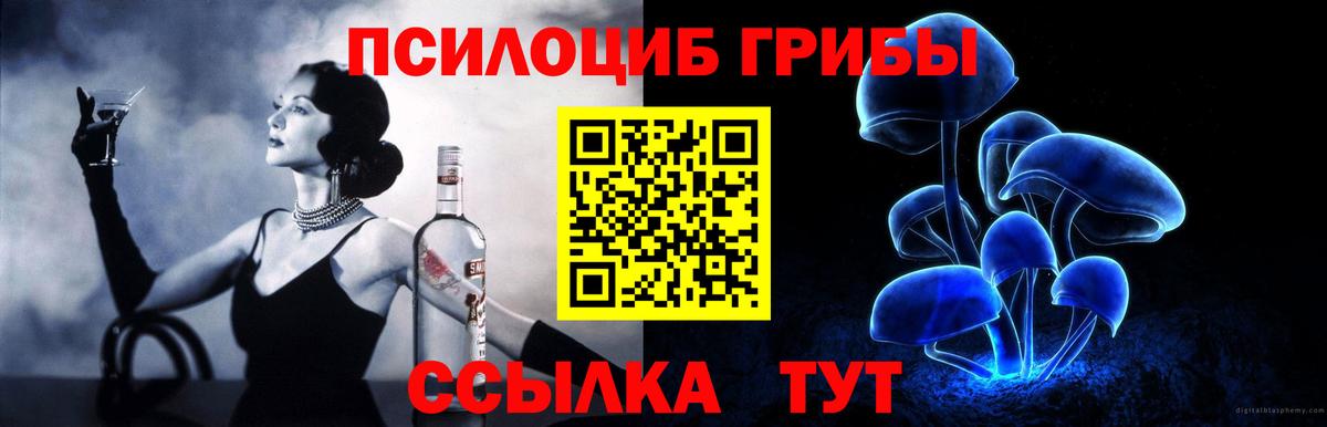 Галлюциногенные грибы Magic Shrooms  Вход с VPN  купить наркотик  Псилоцибиновые грибы Psilocybine cubensis  Кашира 